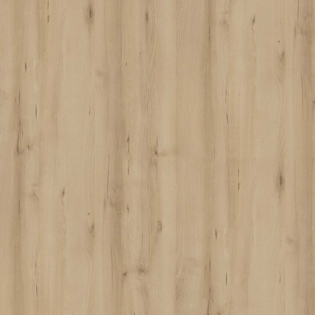 Faggio Nordico (Melamine&HPL)