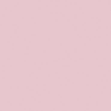 MPU17013 - Mimosa