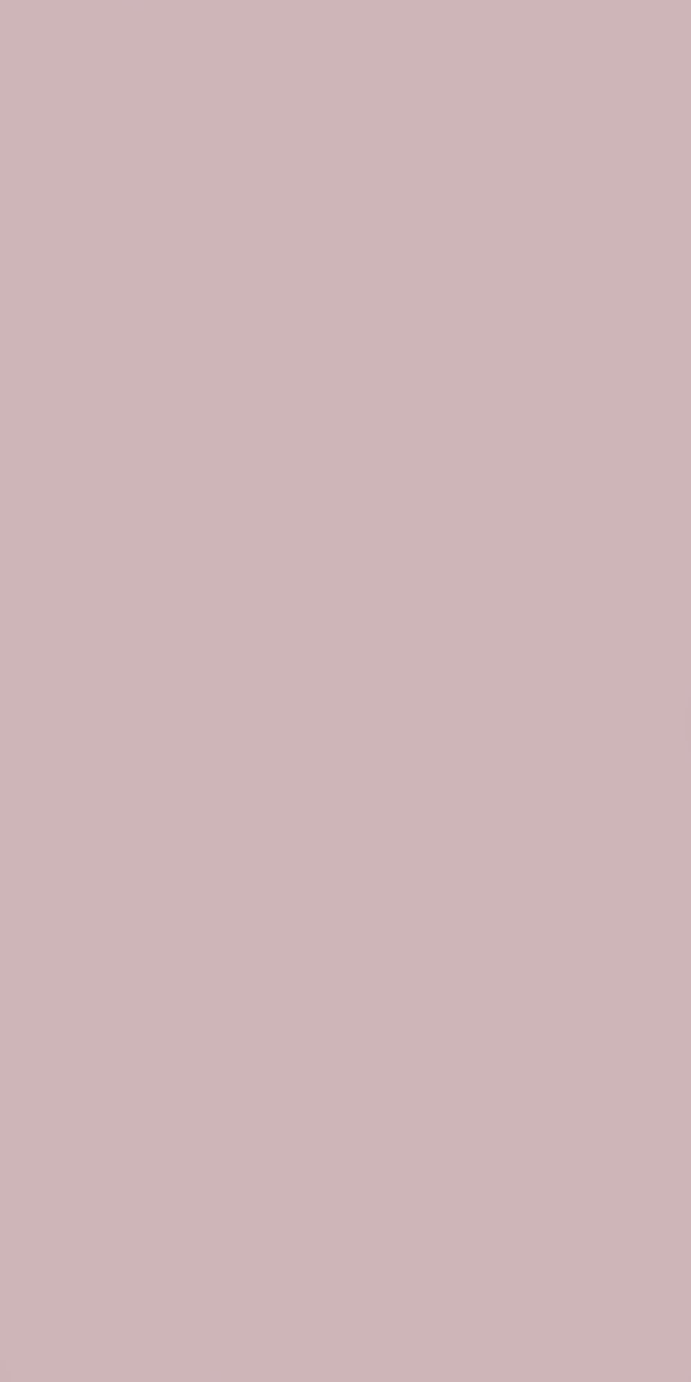 MPU17501 - Rose